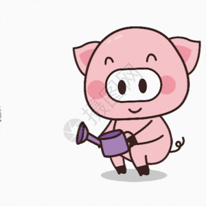 猪小胖gif图片素材