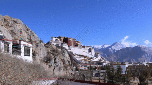 西藏朝拜布达拉宫GIF高清图片