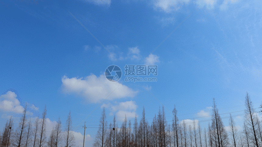 树林自然天空云延时gif