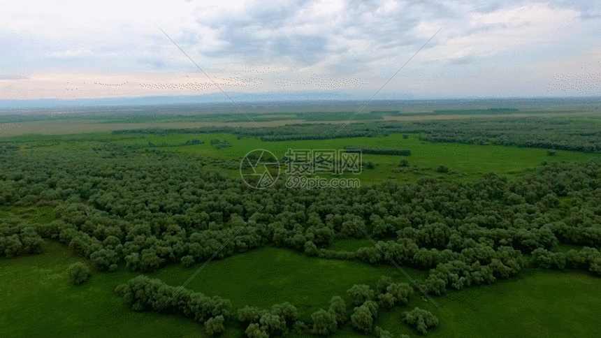 摄图网已获得 航拍原始森林草原gif正版授权采用 vrf授权