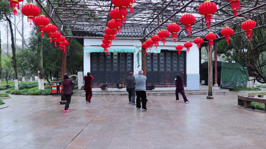 健康老人练太极GIF高清图片