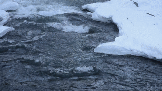 喀纳斯湾新疆喀纳斯河冬季雪景GIF高清图片