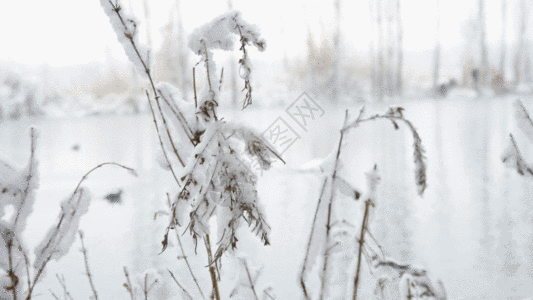 新疆葡萄干新疆冬季温泉雪景GIF高清图片