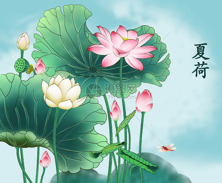 工笔夏荷插画图片下载-正版图片401113812-摄图网