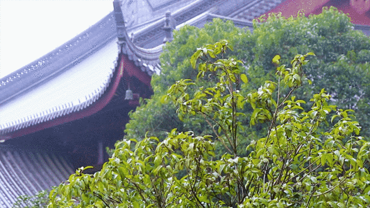 江南烟雨寺院一角GIF高清图片