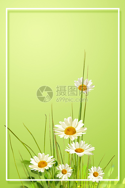 绿色清新鲜花背景图片