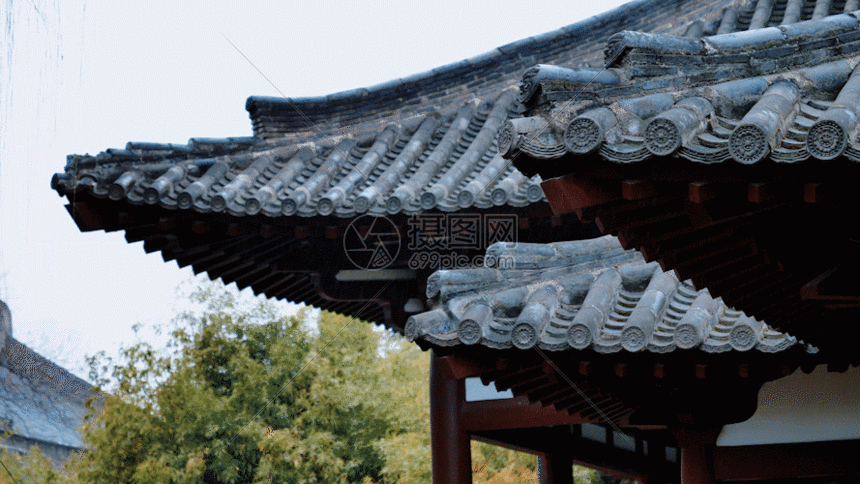 gif  摄图网为您提供  gif动图 正版 gif动态图片下载,该  gif动态