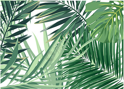 丛林手绘热带植物背景设计图片