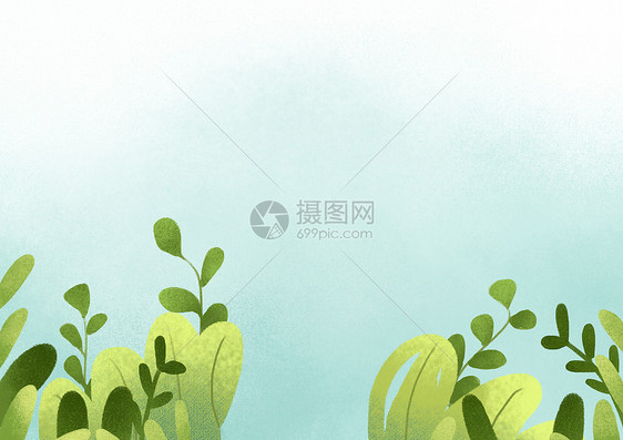 绿色植物插画图片