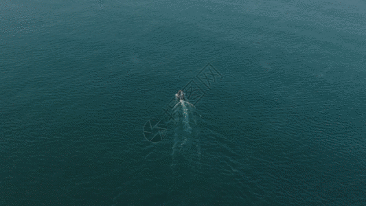 海面行驶的船只GIF高清图片