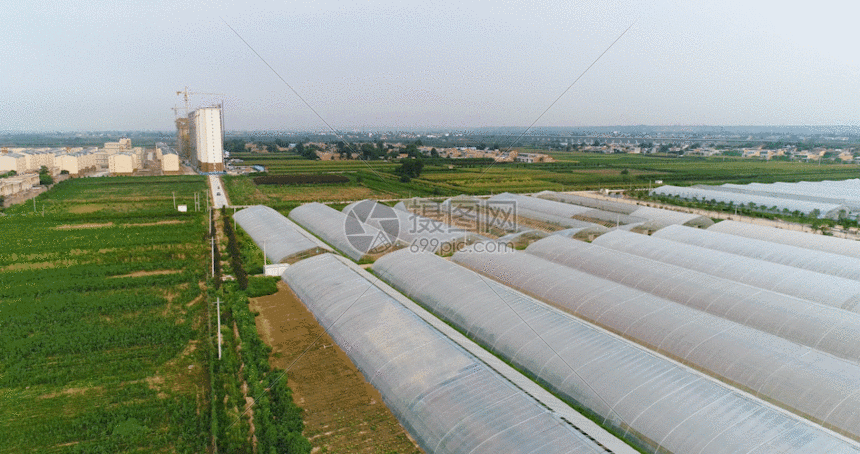 gif动图 实景动图  农业大棚gif.gif