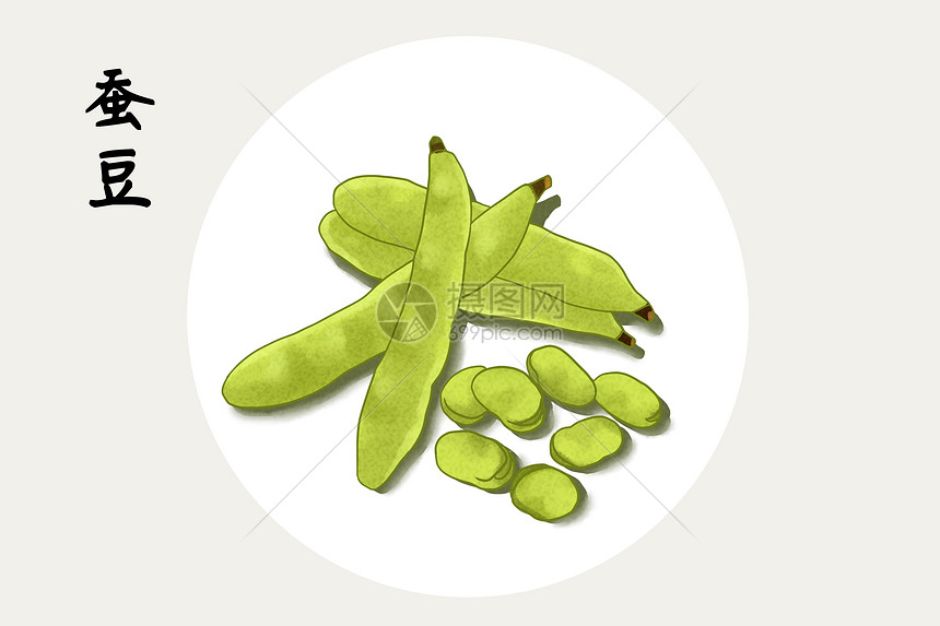 蚕豆插画