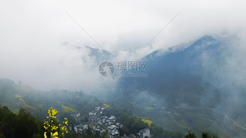 春天安徽黄山徽派古村油菜花梯田gif动态图片素材下载