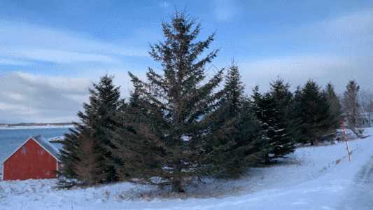 北欧风光北极圈冰天雪地GIF高清图片