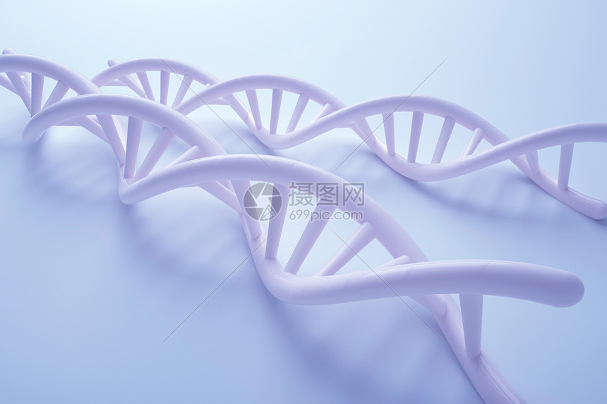 DNA基因链条图片