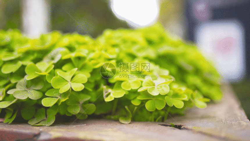 gif  摄图网为您提供  gif动图 正版 gif动态图片下载,该  gif动态