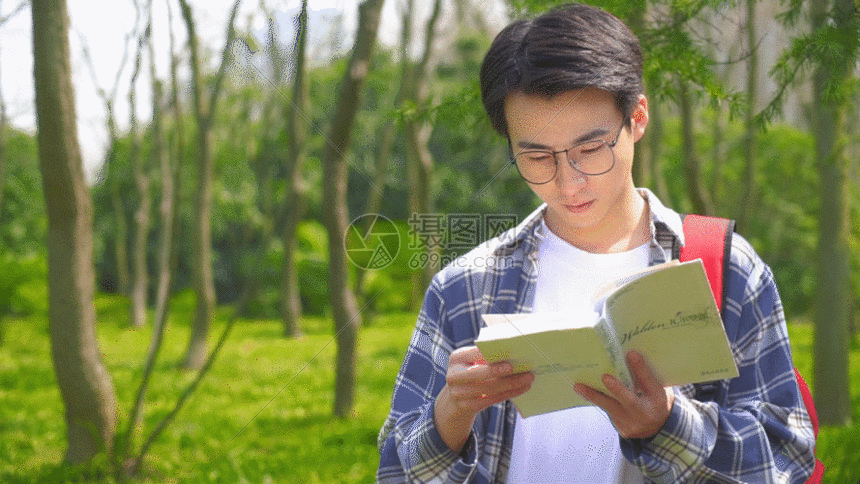 gif  摄图网为您提供  gif动图 正版 gif动态图片下载,该  gif动态