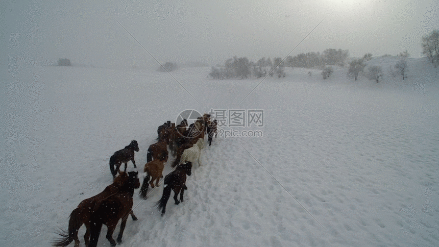 摄图网已获得 草原冬季跑马gif正版授权采用 vrf授权,授权