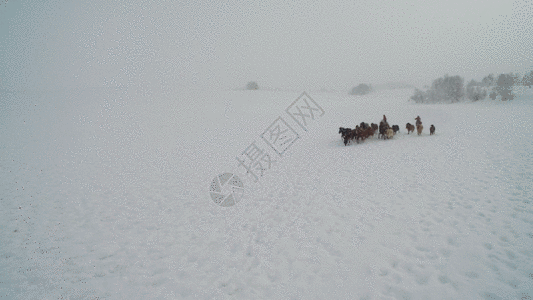内蒙古乌兰布统坝上草原冬季跑马航拍视频GIF图片