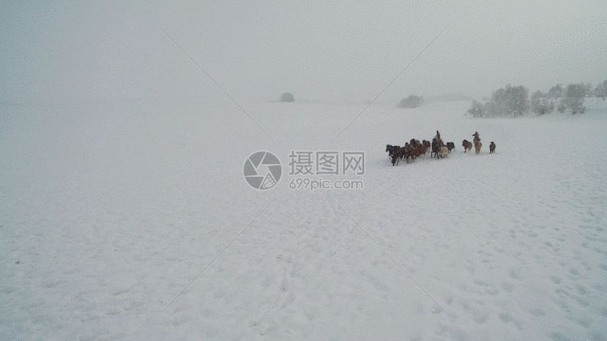 坝上草原冬季跑马航拍视频gif动图图片-正版gif素材401147484-摄图网