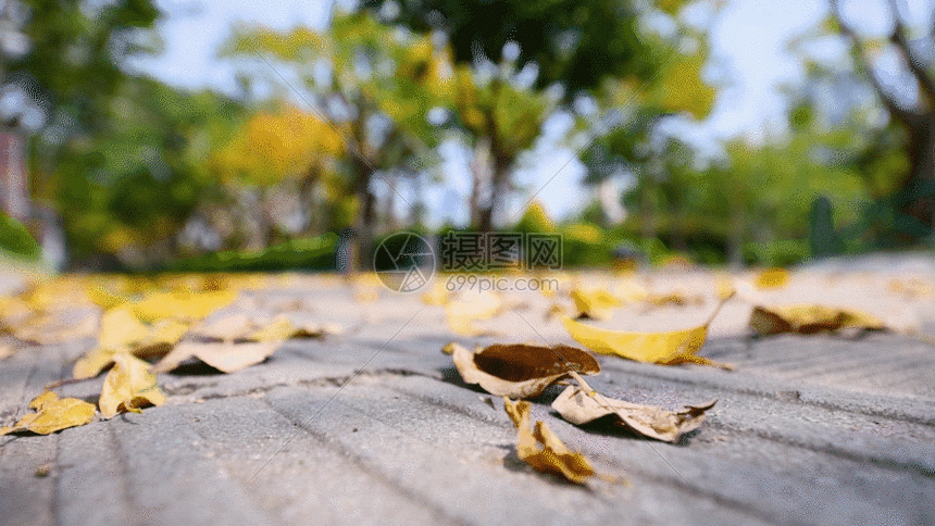 秋天公园地上的落叶GIF图片