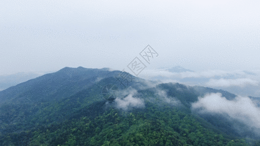 创意航拍山脉森林GIF高清图片