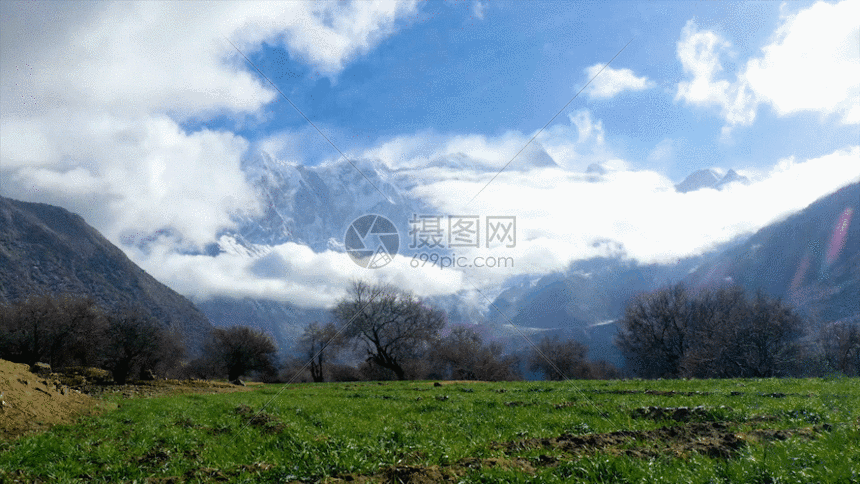 gif  摄图网为您提供  gif动图 正版 gif动态图片下载,该  gif动态