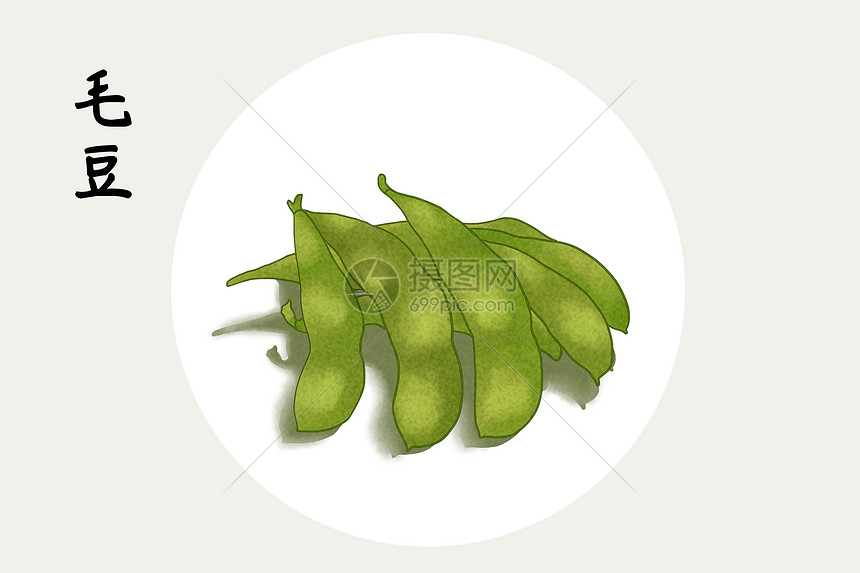 毛豆插画