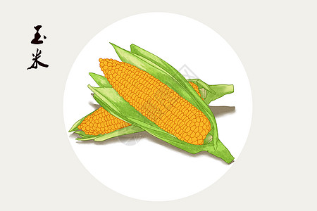 玉米插画背景图片