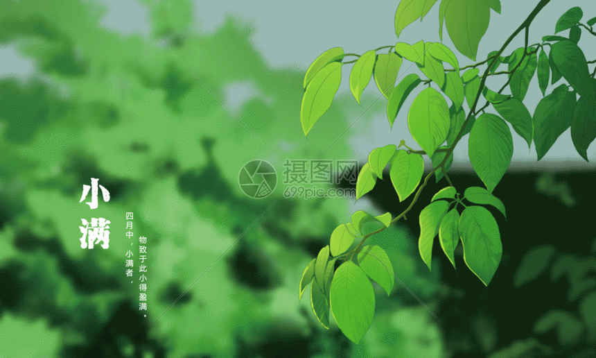 gif动图 插画动图 二十四节气小满绿色夏天主题gif.