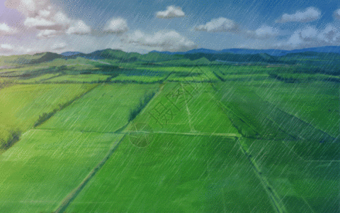 传统画雨中的稻田GIF高清图片