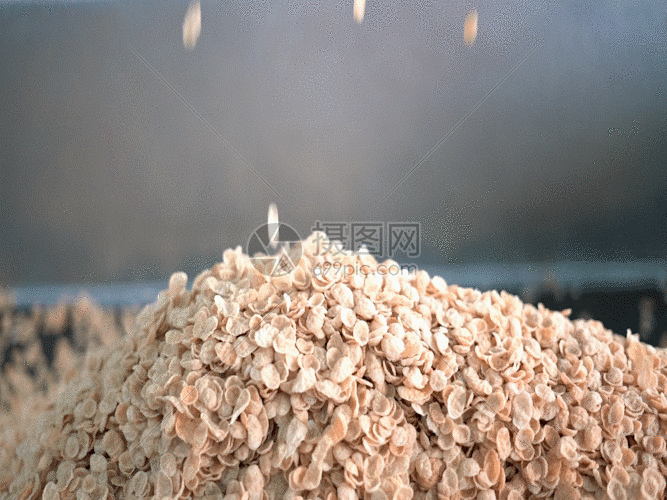 燕麦片GIF图片