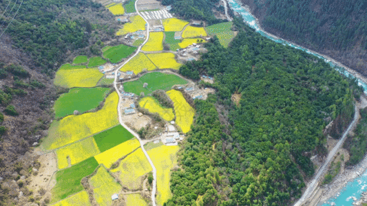 红山大峡谷世界第三帕隆藏布大峡谷GIF高清图片