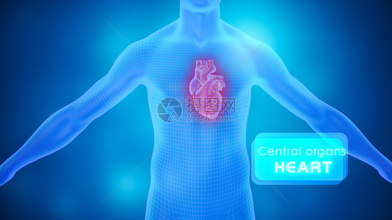 人体心脏医疗场景图片
