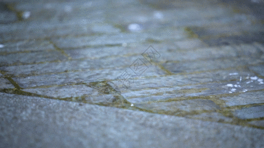 蹲在地上雨水打落在青石板上GIF高清图片