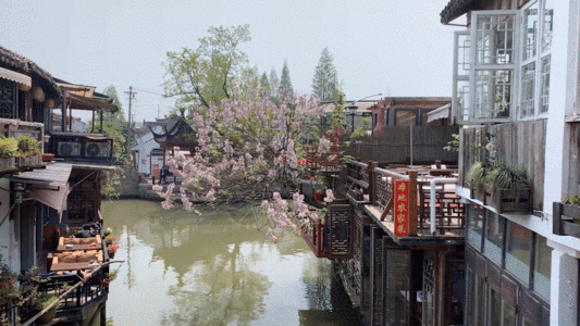古镇文化旅游GIF图片