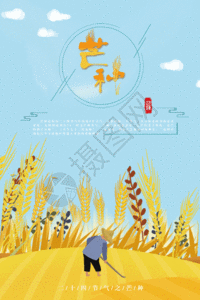 二十四节气稻谷芒种海报GIF图片