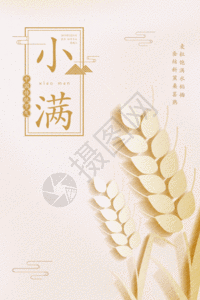 简洁风二十四节气小满海报gif图片素材