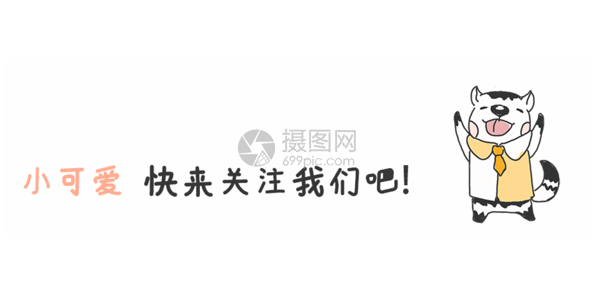 手绘小动物点击关注 gif