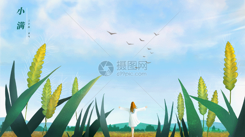 小满节气gif
