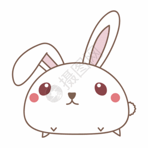 小兔子表情包