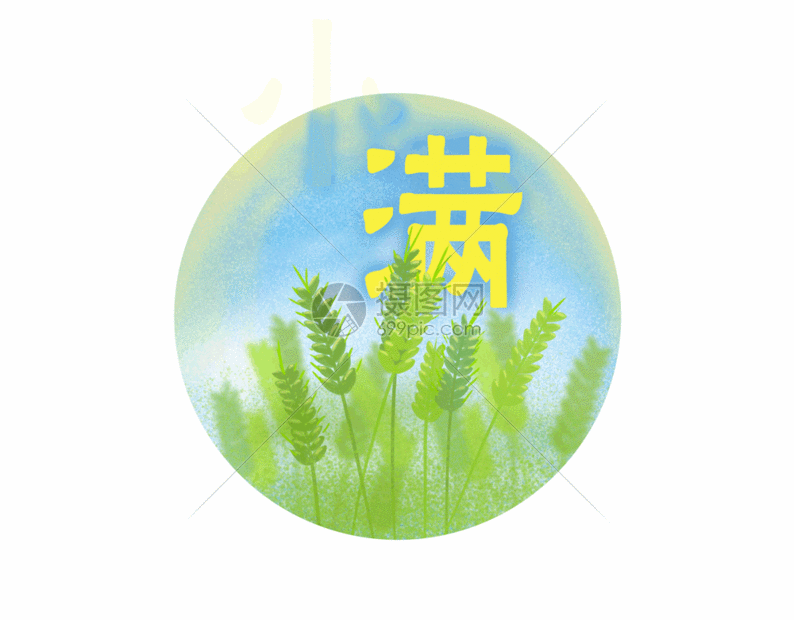 小满gif24节气小麦
