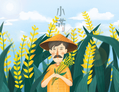 免费下载         收藏成功 vrf高清图片 小满农民农作物麦子饱满gif