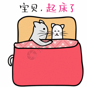 床上情侣萌猫起床gif高清图片