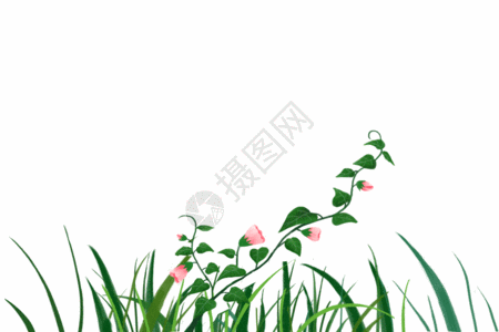 植物元素绿植 gif高清图片