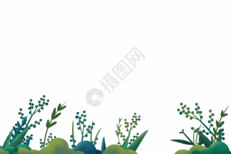 海洋植物绿植高清图片