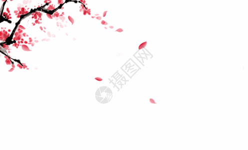 飘落的花瓣gif图片素材