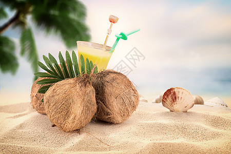 椰子片夏日度假设计图片