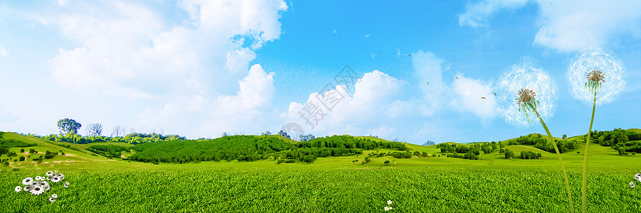 草地天空背景高清图片