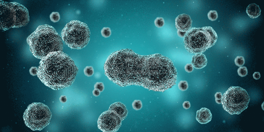 细菌细胞场景gif